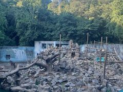 -红山森林动物园
