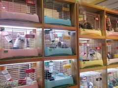 -宠物兔专门店(天丰利市场店)
