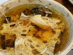 -達揚原味燉品(文明路店)