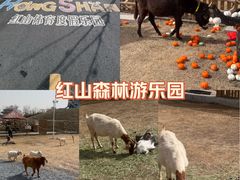 -红山体育乐园
