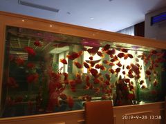 -骏莱海鲜鱼港(五角场店)