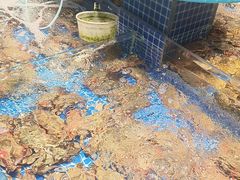 -好礼家海鲜•海肠捞饭大王(金沙滩念慈别墅店)