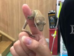 -藦茜花园宠物主题亲子互动体验馆(国顺东路店)