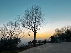 -紫金山山顶公园