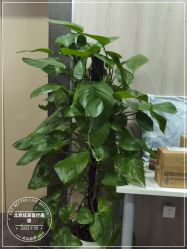 -北京炫美医疗美容