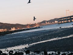 -黑石礁公园