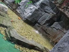 -嘉兴海底世界