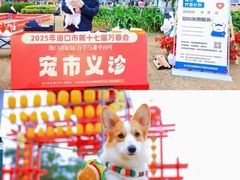-万绿园