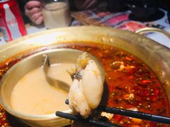 招牌牛蛙-哥老官重庆美蛙鱼头(西湖银泰十一哥店)