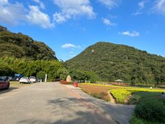 -广州市石门国家森林公园