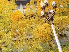 -四川大学(华西校区)