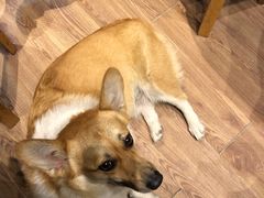 -阿木舂记·特色小吃(平江路店)