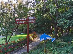 -华侨城阳宗海海景温泉