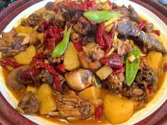 -巴依老爷新疆美食(清华东门店)