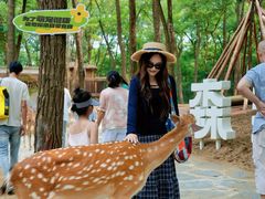 -南戴河国际娱乐中心