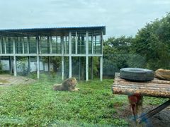 -西安秦岭野生动物园