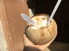 -洪馨椰子
