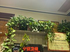 -马有川机场羊羔肉(总店)