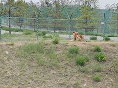 -鄂尔多斯野生动物园