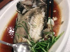 清蒸石斑鱼-金翠皇宫粤菜·点心·海鲜(科技园店)