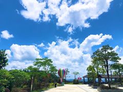 -广州白江湖森林公园