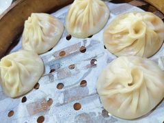 -莱莱小笼·乔艾
