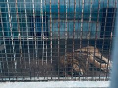 -如皋市龙游湖欢乐世界