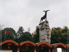 -成都动物园