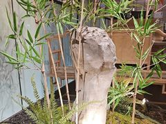 -绿茶餐厅(淮安吾悦广场店)