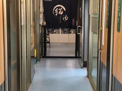 -伟伟宠物医院·瑞派猫友好医院·猫科(光谷店)
