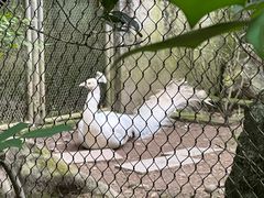 -杭州动物园