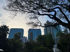 -九龙公园