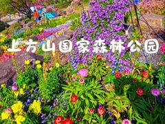 -苏州上方山国家森林公园