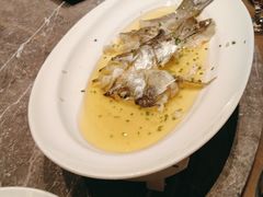 -同庆楼(滨湖万达广场店)