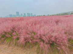 -临平南高铁站(地铁站)