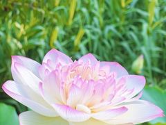 -朝阳公园