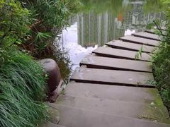 -重庆彩云湖湿地公园