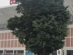 -莆田站