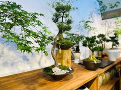 -自由生长植物工作室(深港花卉中心店)