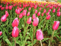 -长春公园(普阳街道)