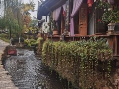 -内涵饵块