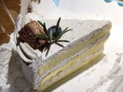 海盐乌龙奶茶蛋糕-野路甜点铺(松柏路店)