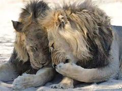 -玉林串串香(大成路店)