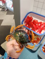 -MINI MARS KIDS CLUB亲子家庭中心(杨浦黄兴店)