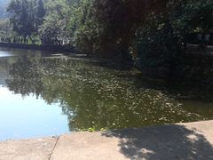 -韶山毛泽东同志故居