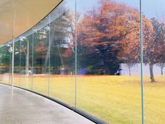 -金泽21世纪美术馆