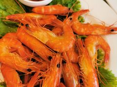 -骏莱海鲜鱼港(五角场店)