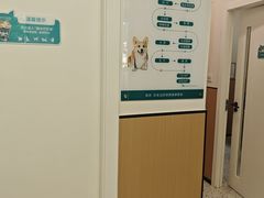 -瑞派康怡24h宠物医院·犬猫医疗中心·微创绝育(瑞景分院)