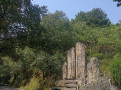 -湖南嵩云山国家森林公园