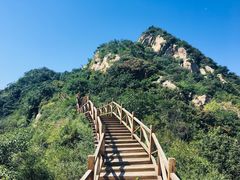 -大岭沟猕猴桃谷风景区